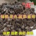 有机鸡粪，大量供应质量保证，欢迎大家找我合作欢迎来电咨询