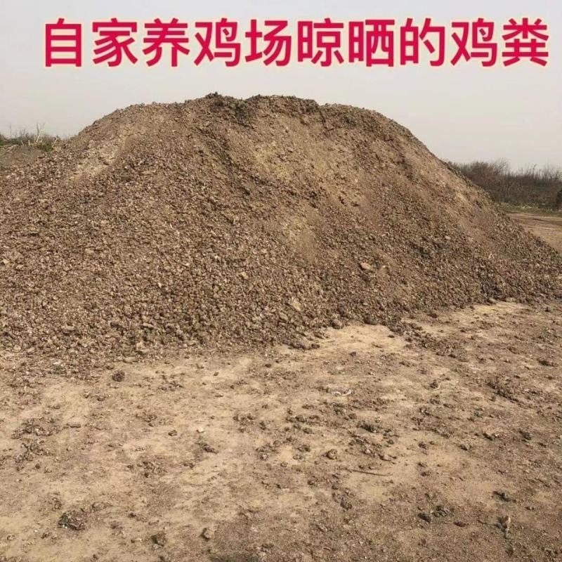 有机鸡粪，大量供应质量保证，欢迎大家找我合作欢迎来电咨询