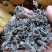 野生腾茶，又叫白茶，溪黄草(本地农户纯手工制作)