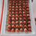【天仙醉草莓】河南精品草莓，贵妃草莓，品种齐全，量大从优