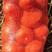 精品红南瓜长年供货红南瓜面甜质量保证欢迎来电