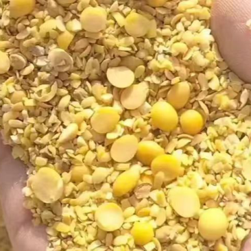 碎大豆碎黄豆厂家直销一手货源没有中间商赚差价