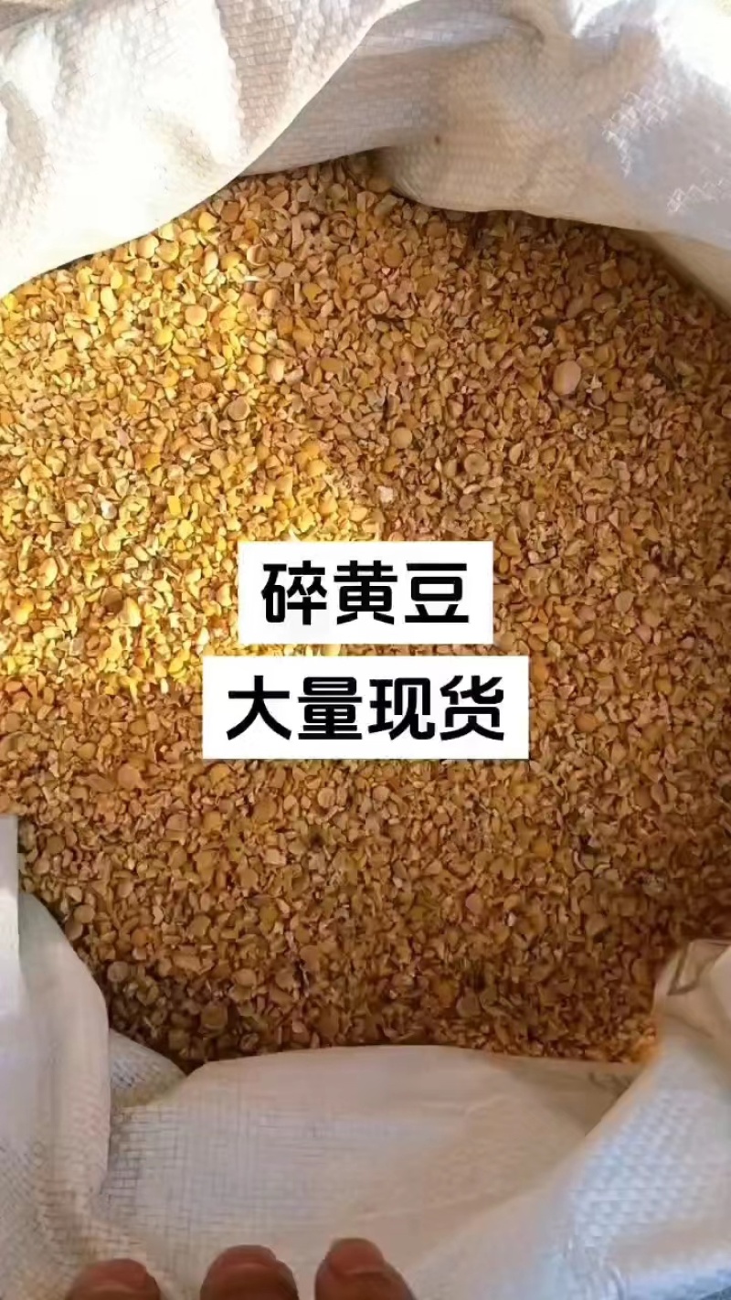 碎大豆碎黄豆厂家直销一手货源没有中间商赚差价