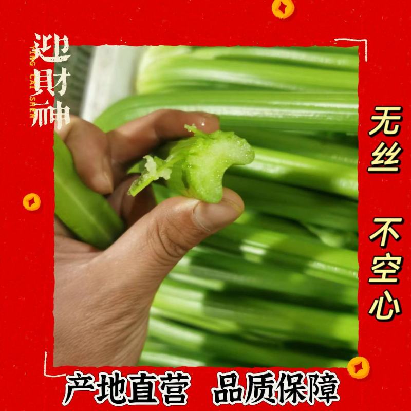 精品西芹产地直供，提前预定。现砍入库打冷装货。