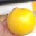 黄晶果