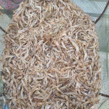 大量供应清水虾，质量保证。