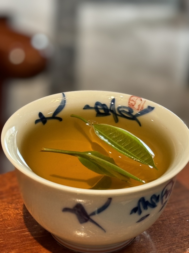 2023年班章白茶200个起批价格150元/饼