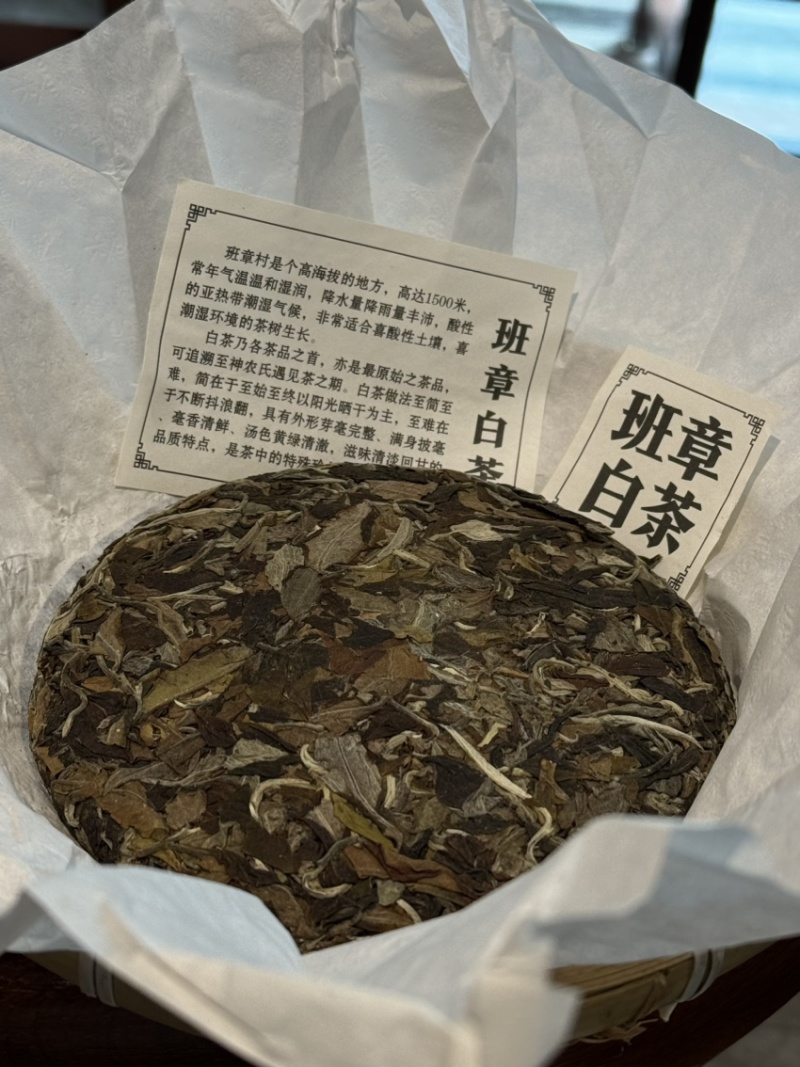 2023年班章白茶200个起批价格150元/饼