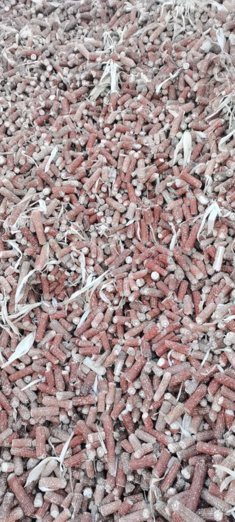 精品玉米芯玉米芯供应玉米芯诚信经营玉米芯，玉米芯颗粒