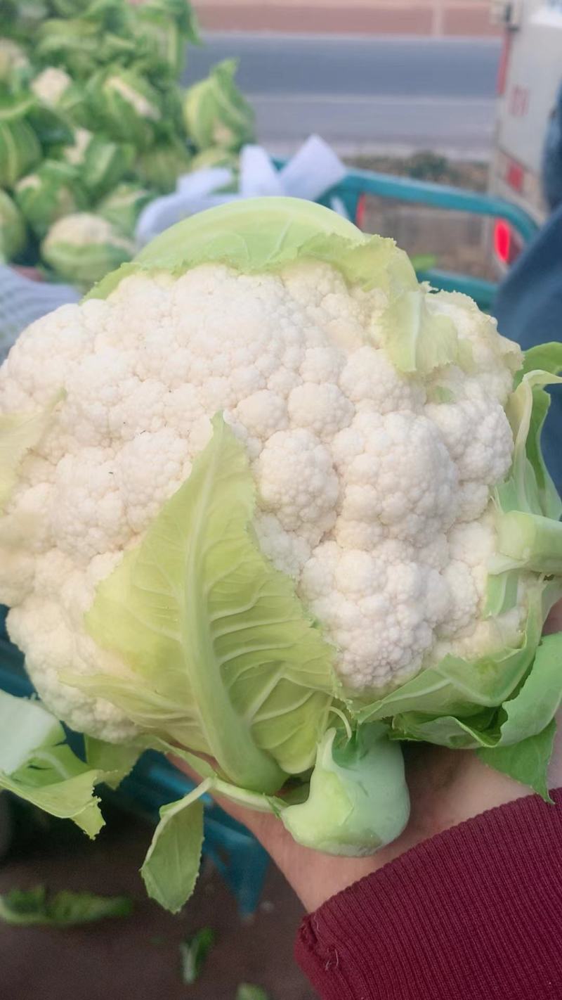 精品花菜市场货加工厂都有