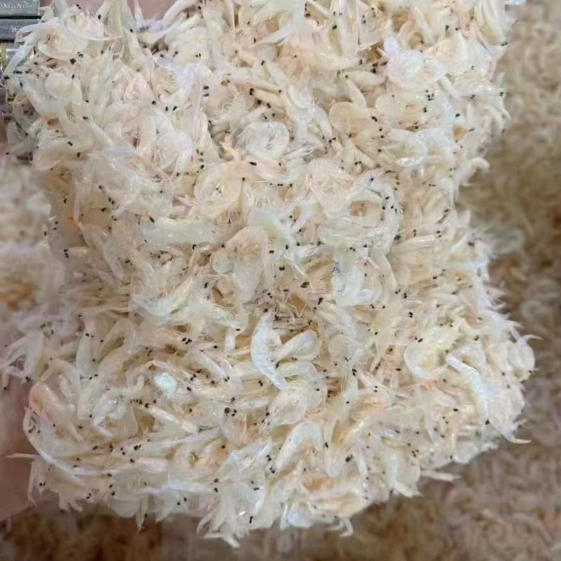 虾皮淡干虾皮生态虾皮地摊早市赶集火爆产品宏达生态虾
