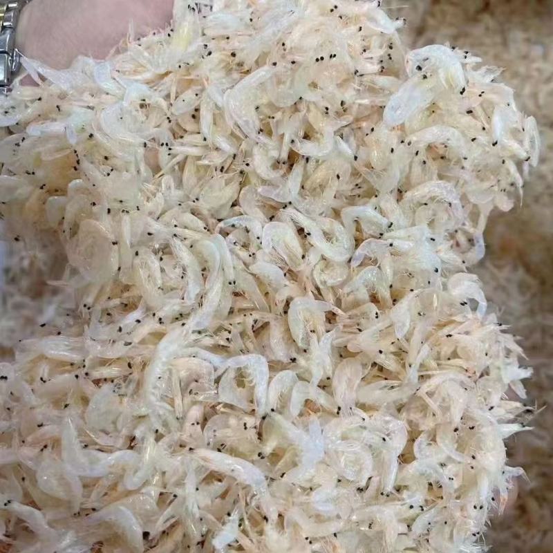 虾皮淡干虾皮生态虾皮地摊早市赶集火爆产品宏达生态虾