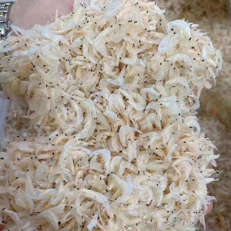 虾皮淡干虾皮生态虾皮地摊早市赶集火爆产品宏达生态虾