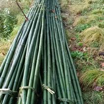 大小竹竿3、5、6、7、8、9米