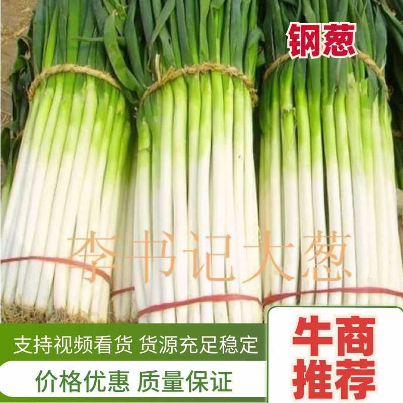 【推荐】干葱大葱钢葱毛葱产地直发货源充足产地直供