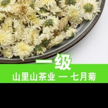 当季干菊花