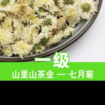 当季干菊花