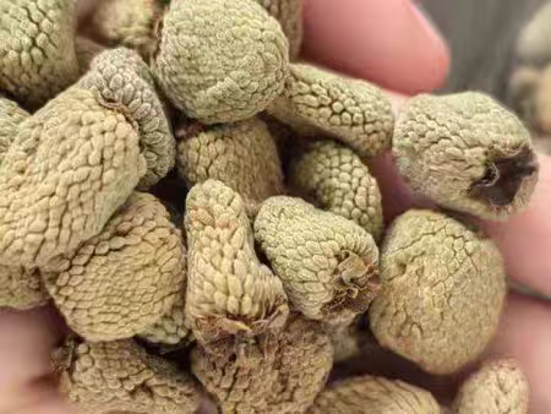 覆盆子饮片中药材正品特级干野生