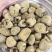 覆盆子饮片中药材正品特级干野生