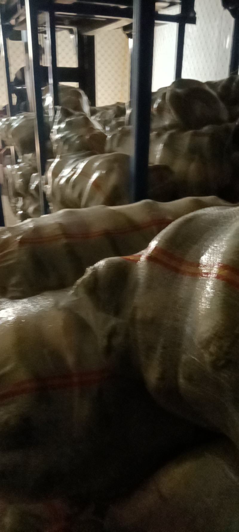 河南周口青萝卜-产地直供-大量上市-品质保障-价格优惠