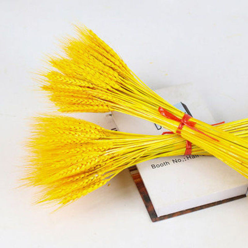 天然麦穗干花花束新年客厅摆放花黄金麦穗干花插花装饰品招财