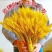 天然麦穗干花花束新年客厅摆放花黄金麦穗干花插花装饰品招财