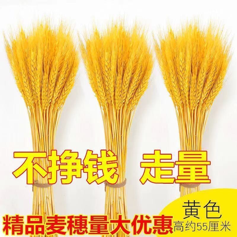天然麦穗干花花束新年客厅摆放花黄金麦穗干花插花装饰品招财
