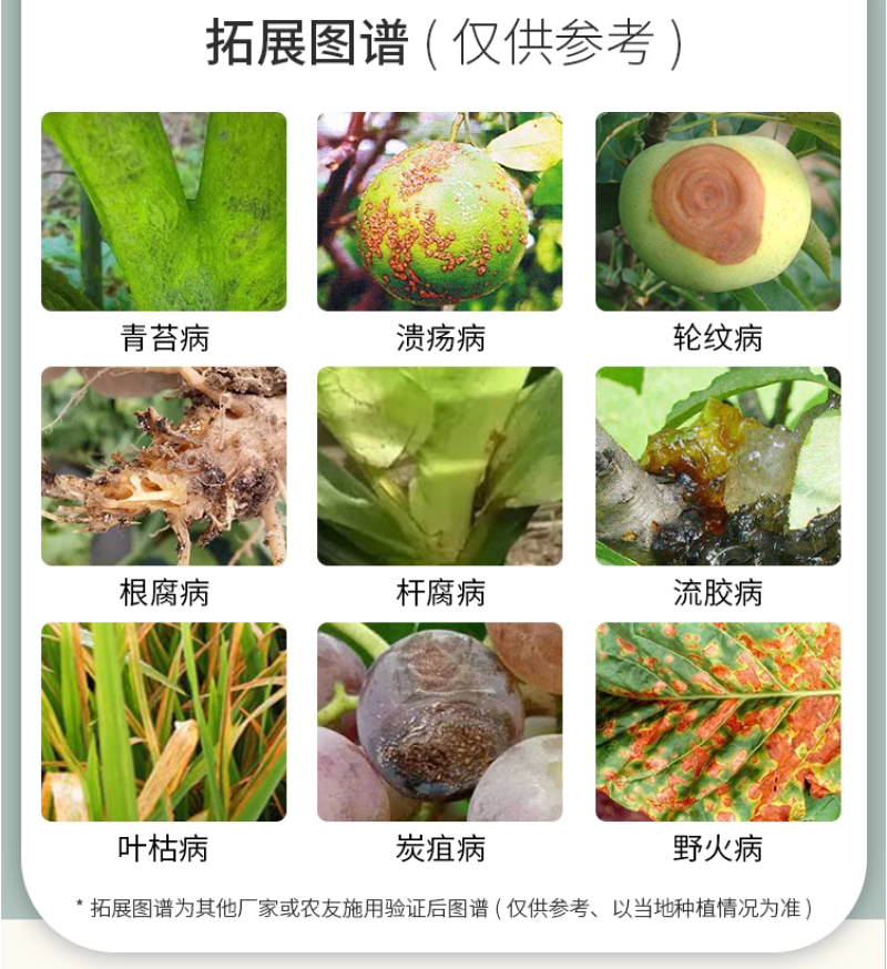 祥龙生化枯苏80%乙蒜素枯萎病蔓枯病炭疽病流胶病