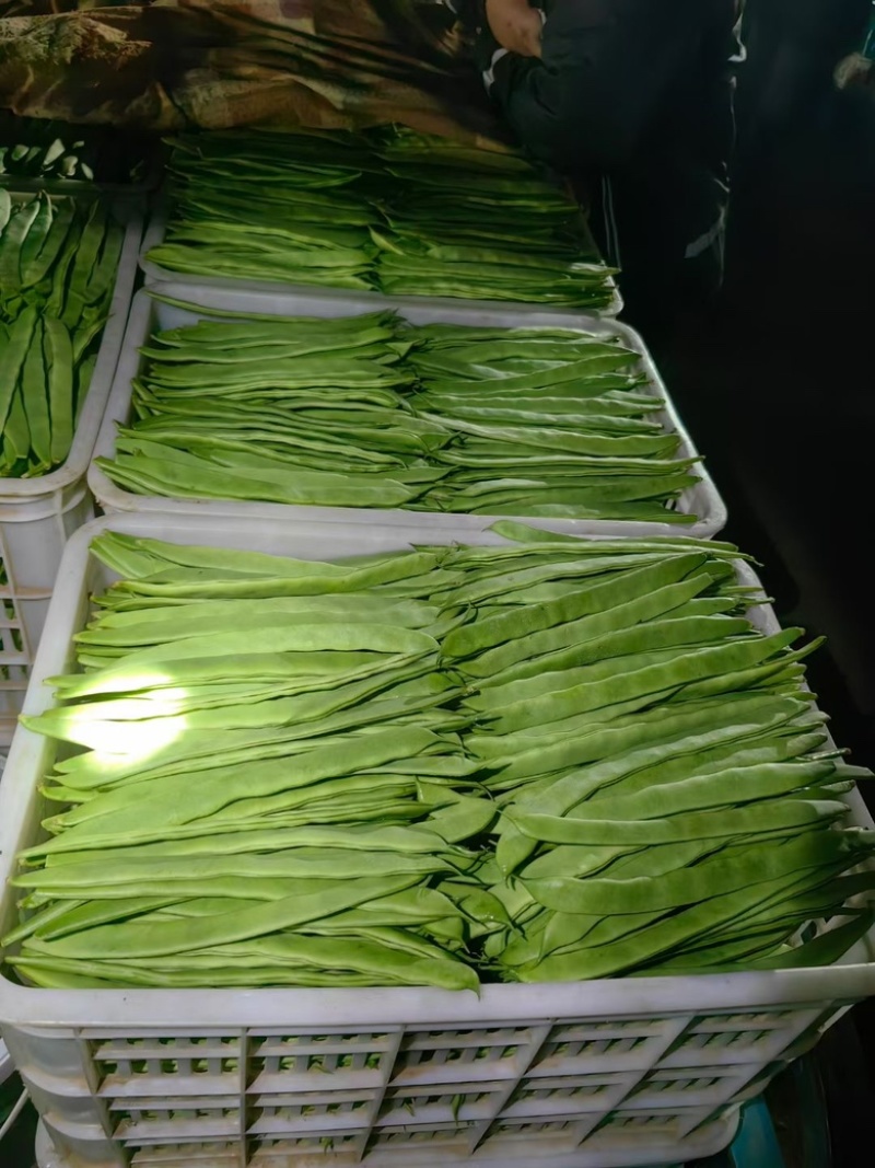 长豆角