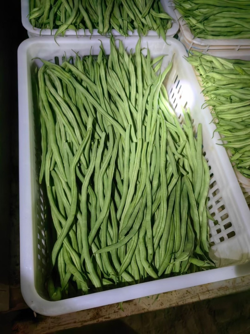 长豆角