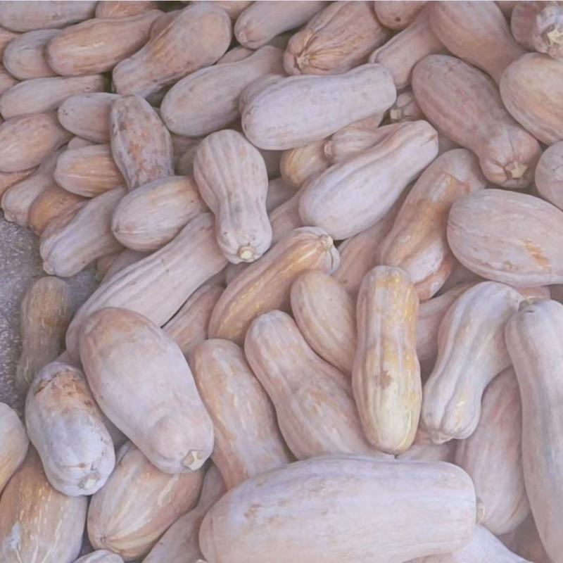 黄皮南瓜，老南瓜，软糯香甜，辅食粗粮，营养可口