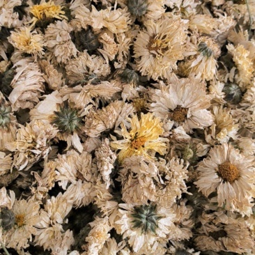 菊花中药材批发菊花质量保证量大从优