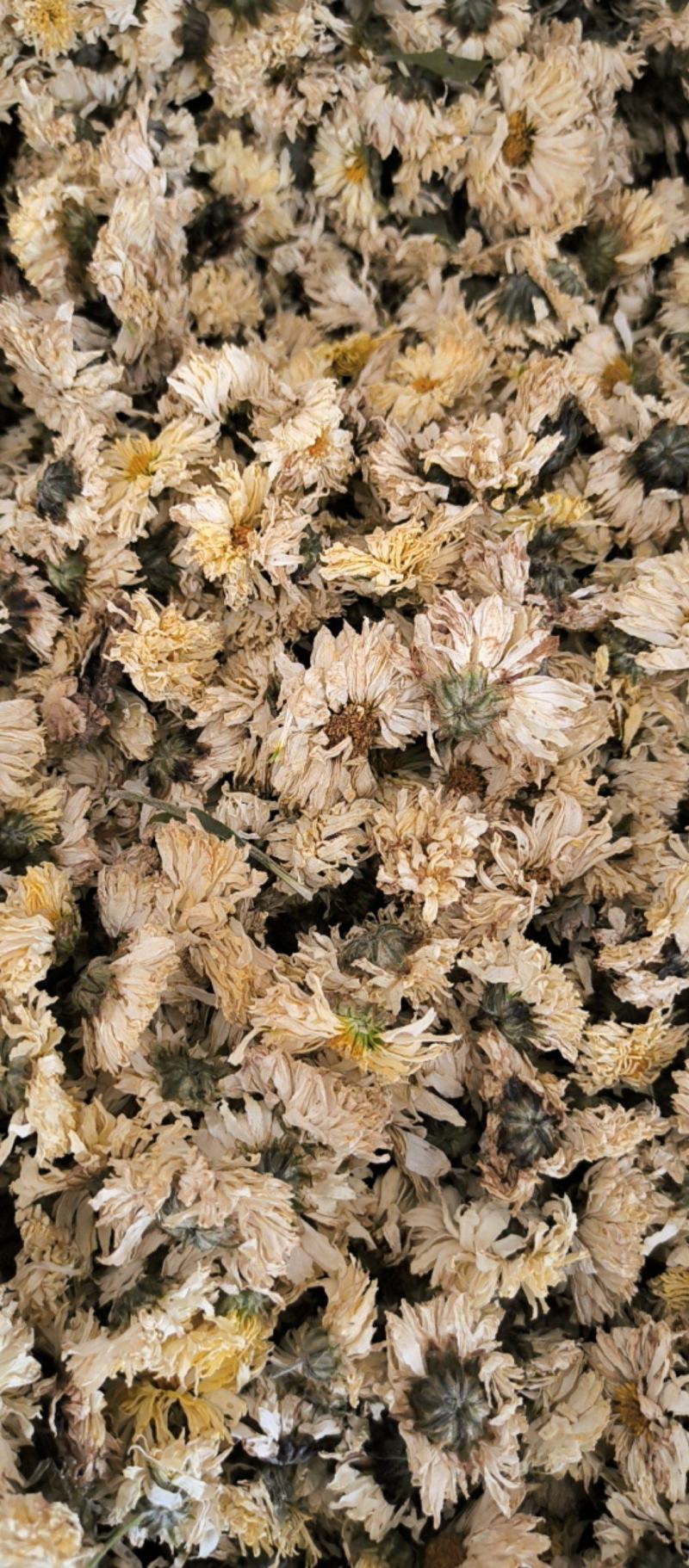 菊花中药材批发菊花质量保证量大从优