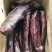 【全国发货】腊肉2刀腊肉烟熏四川腊肉常年供应