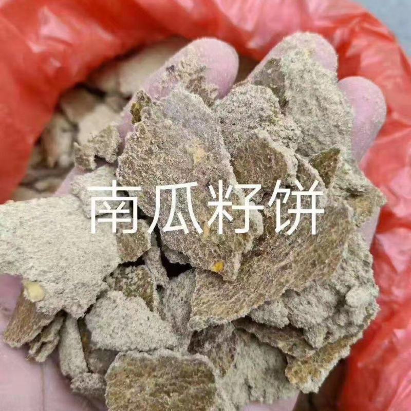 南瓜籽饼，常规，非常规原料都有