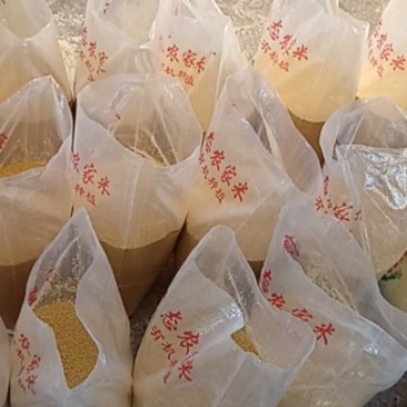 厂家直销精制小米