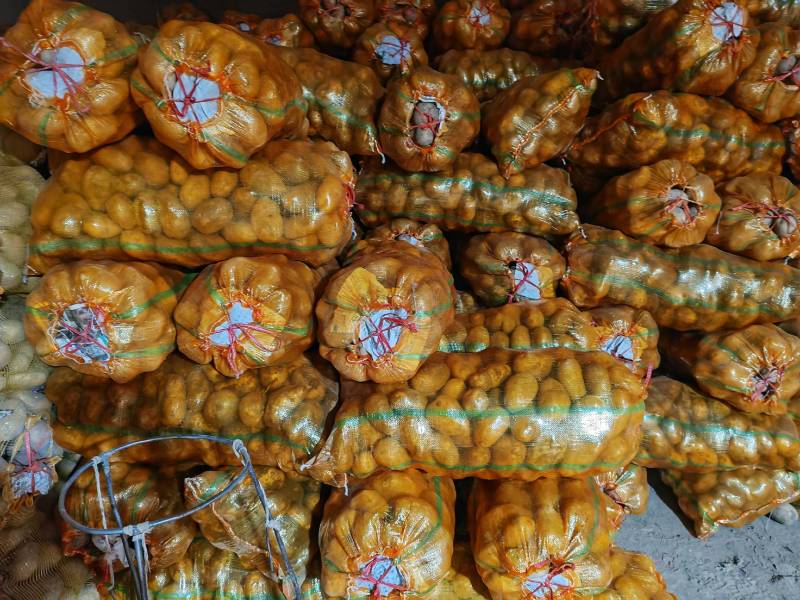 白心226，现收现发基地直发量大价优品质保障欢迎电联