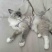 宠物猫