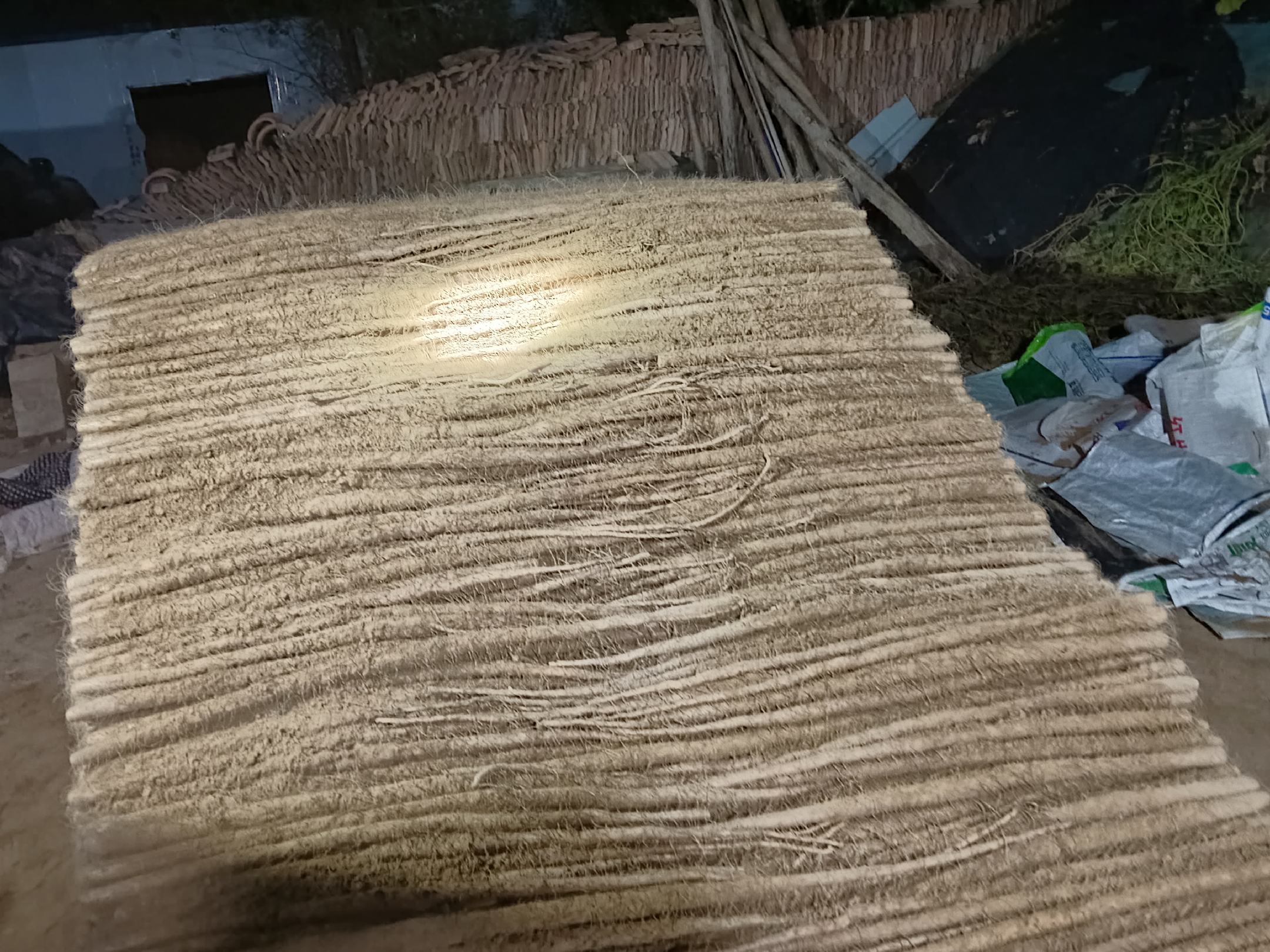 怀山药横切面对比图：左侧为正宗温县铁棍山药，切面纯白致密，无黑点无空心，淀粉颗粒均匀；右侧为广西引种山药，切面微黄，中心可见浅色髓腔，边缘有淡褐色维管环