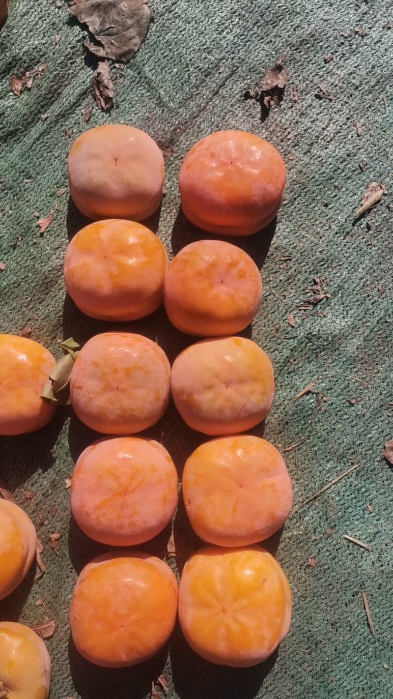 装好箱子的柿子