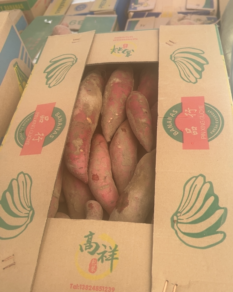 “西瓜红”红薯