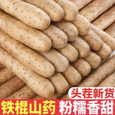 河北山药特产小白嘴白山药铁棍山药淮山药网袋山药各种规格