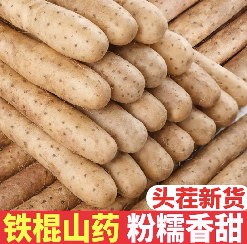 河北山药特产小白嘴白山药铁棍山药淮山药网袋山药各种规格