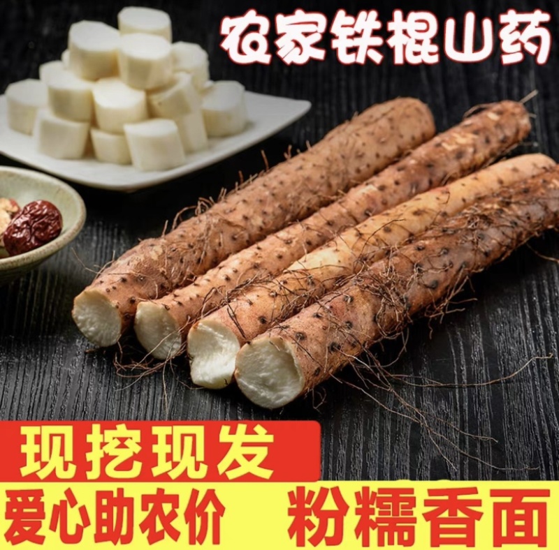 河北山药特产小白嘴白山药铁棍山药淮山药网袋山药各种规格