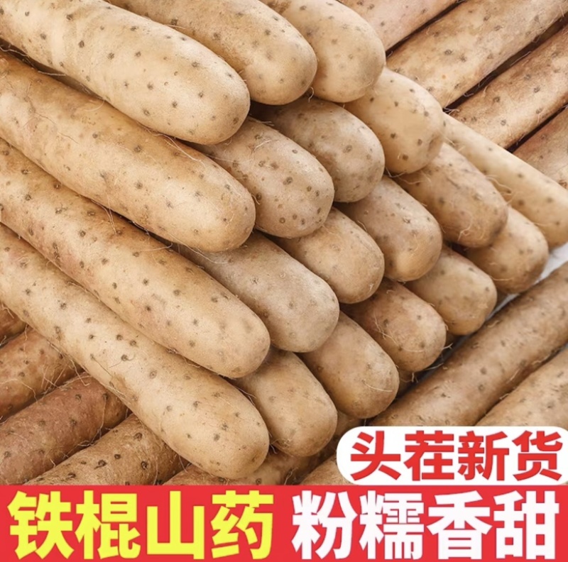 河北山药特产小白嘴白山药铁棍山药淮山药网袋山药各种规格