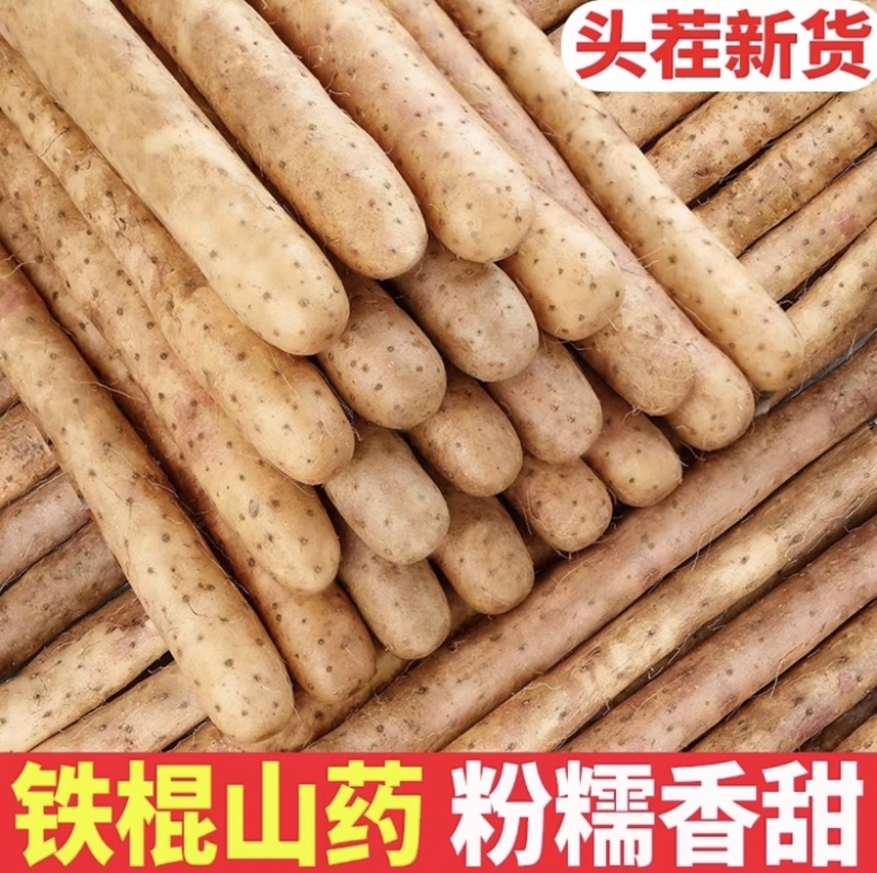 河北山药特产小白嘴白山药铁棍山药淮山药网袋山药各种规格