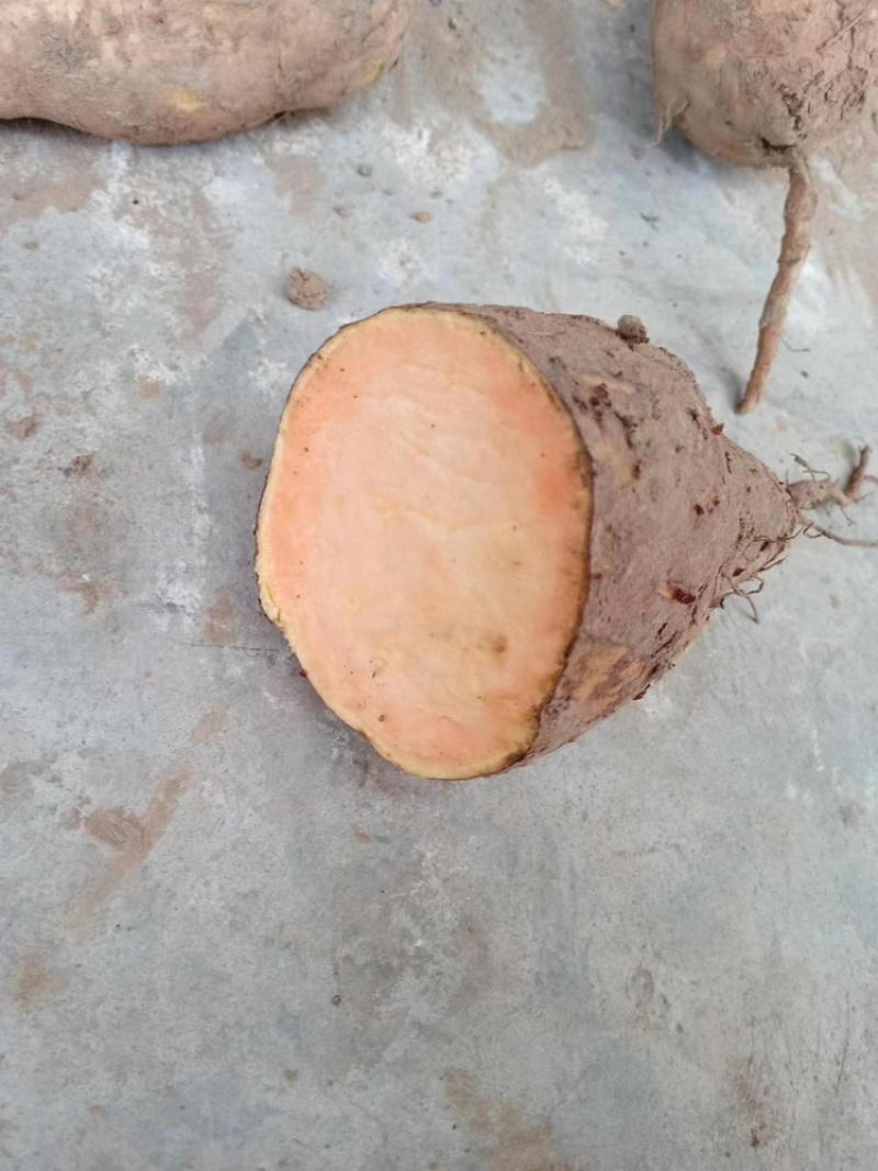 西瓜红红薯，白心薯
