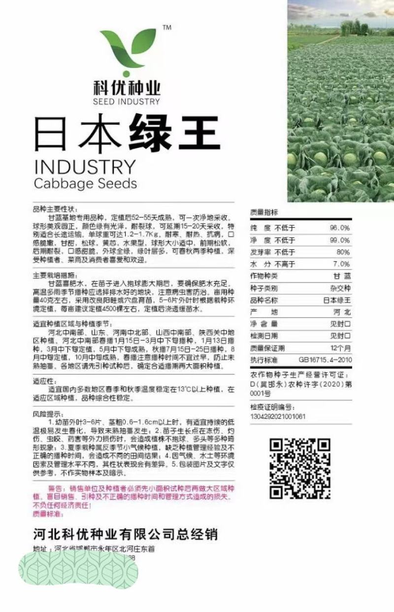 日本绿王甘蓝种子圆正耐寒、耐热抗病黄芯水果型可延期20天