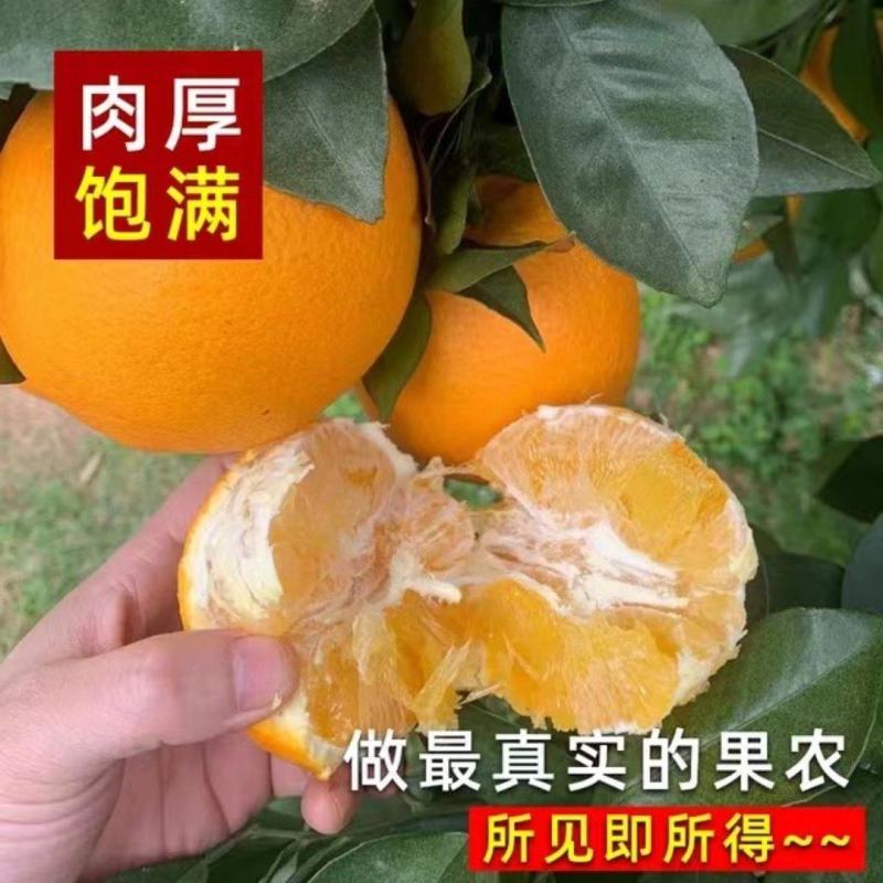 赣南脐橙一件批发。