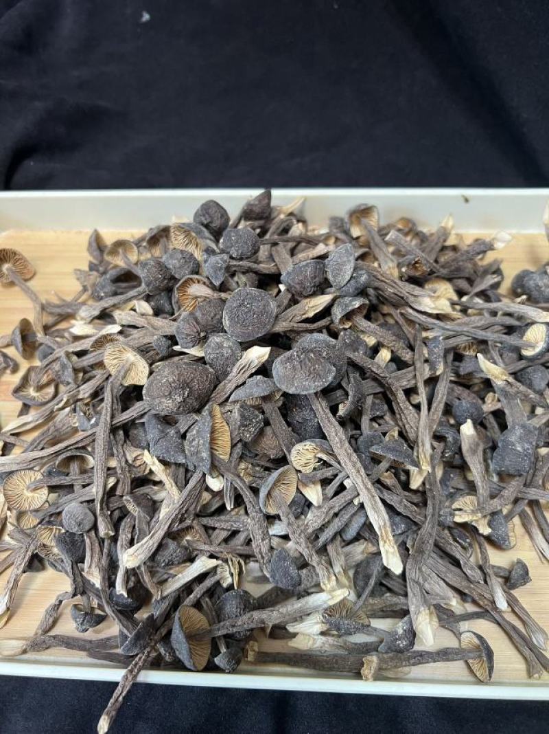 鸡枞菌一斤一袋